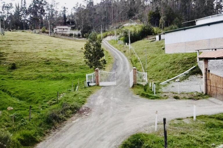 Entrada